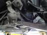 1997 Sebring Silver Metallic /Greystone Chevrolet Corvette Coupe (1G1YY22G7V5) with an 5.7L V8 OHV 16V engine, 4-Speed Automatic Overdrive transmission, located at 827 W 26th Street, Erie, PA, 16508, (814) 455-3401, 42.105431, -80.090942 - Thanks for looking at our two owner LOW MILEAGE (15,905) accident and rust-free recent arrival. This Corvette was originally sold in in Warren Pa. where it stayed until it was traded in at the local Mercedes Benz dealership in Erie on 2/3/2003 with 2605 miles. The next owner purchased this on 5/30/2 - Photo#39
