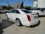 2016 Crystal White Tricoat /Shale Cadillac XTS Luxury AWD (2G61N5S33G9) with an 3.6L V6 DOHC 24V engine, 6A transmission, located at 827 W 26th Street, Erie, PA, 16508, (814) 455-3401, 42.105431, -80.090942 - Photo#5