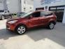 2014 Sunset Metallic /Greystone Ford Escape SE 4WD (1FMCU9GX3EU) with an 1.6L L4 DOHC 16V engine, 6-Speed Automatic transmission, located at 827 W 26th Street, Erie, PA, 16508, (814) 455-3401, 42.105431, -80.090942 - Thanks for looking at out two owner accident and rust-free new arrival. This is the SE model with all wheel drive, power drivers sear, panoramic sunroof, rear parking aids, back up camera, large touch screen and lots more. A full service was just completed in our service department with new Pa state - Photo#6
