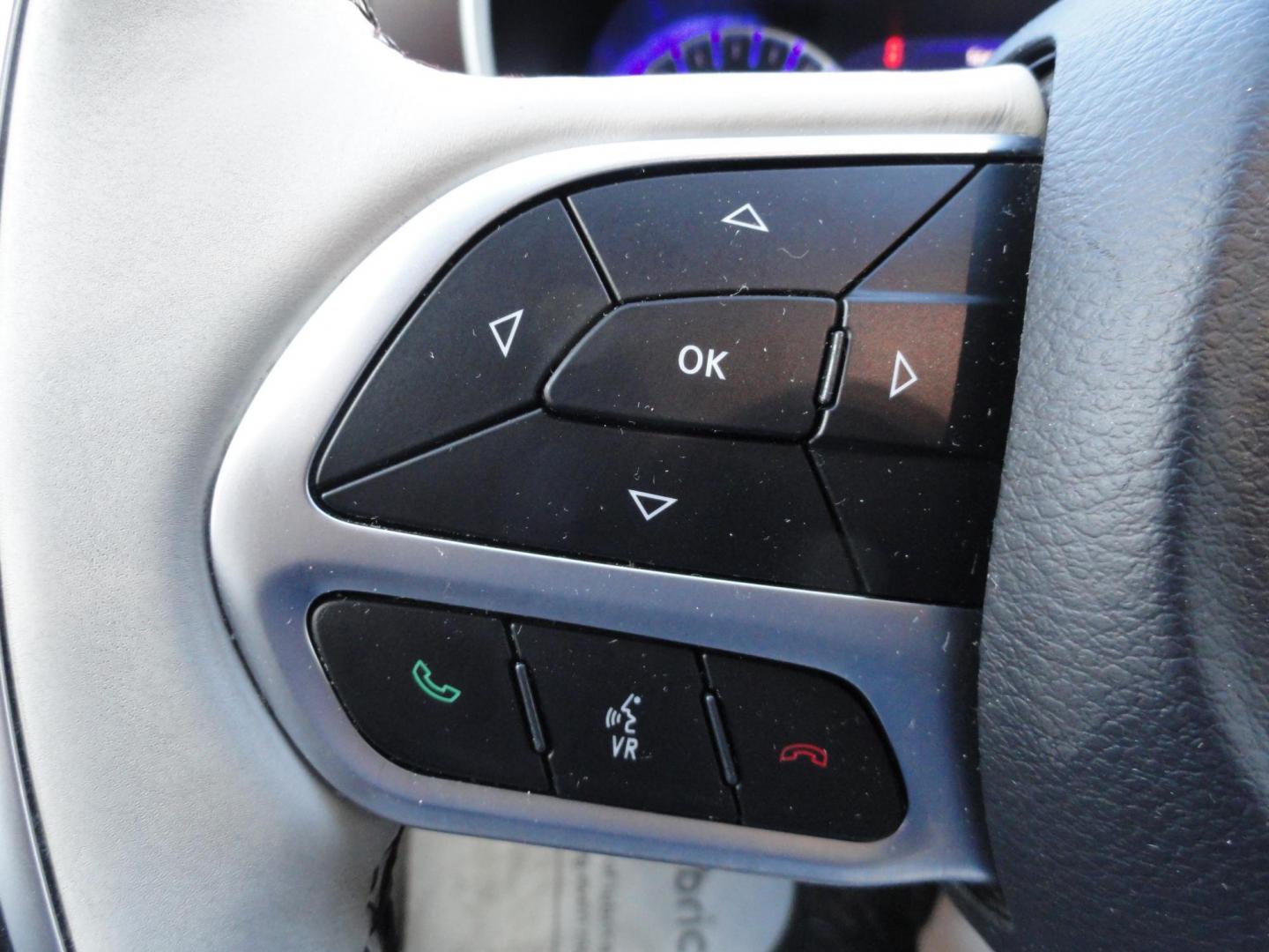 2018 Light Toffee Silver Metallic /Toffee/Cognac/Alloy Chrysler Pacifica Limited (2C4RC1GG3JR) with an 3.6L V6 DOHC 24V engine, 9 Speed Automatic transmission, located at 827 W 26th Street, Erie, PA, 16508, (814) 455-3401, 42.105431, -80.090942 - Thanks for looking at our one owner accident-free new arrival. This is the Limited model with eight passenger seating and lots of options including heated and cooled seats, remote start, stow and go, navigation with back up camera, surround cameras, rear entertainment, blind spot monitor, lane depar - Photo#19