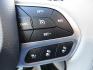 2018 Light Toffee Silver Metallic /Toffee/Cognac/Alloy Chrysler Pacifica Limited (2C4RC1GG3JR) with an 3.6L V6 DOHC 24V engine, 9 Speed Automatic transmission, located at 827 W 26th Street, Erie, PA, 16508, (814) 455-3401, 42.105431, -80.090942 - Thanks for looking at our one owner accident-free new arrival. This is the Limited model with eight passenger seating and lots of options including heated and cooled seats, remote start, stow and go, navigation with back up camera, surround cameras, rear entertainment, blind spot monitor, lane depar - Photo#18