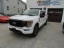 2022 Oxford White /Black Sport Ford F-150 XLT SuperCrew 6.5-ft. Bed 4WD (1FTEW1EP2NF) with an 2.7L V6 DOHC 24V engine, 10 Speed Automatic transmission, located at 827 W 26th Street, Erie, PA, 16508, (814) 455-3401, 42.105431, -80.090942 - Thanks for looking at our two-owner low mileage accident-free new Ford Trade. This is the XLT Super Crew model with the Sport 4X4 option which includes tons of options including dual power front seats, Bluetooth, remote start, push button start, blind spot monitor rear camera and tons more. This tr - Photo#7