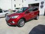 2018 Ruby Red Metallic /Greystone Ford Escape SE 4WD (1FMCU9GD1JU) with an 1.5L L4 DOHC 16V engine, 6A transmission, located at 827 W 26th Street, Erie, PA, 16508, (814) 455-3401, 42.105431, -80.090942 - Thanks for looking at our low mileage accident free one owner new vehicle trade. This is the SE model with all wheel drive, power drivers seat, Bluetooth and lots more including both keys and remotes, the owner's manuals and the original floor mats. A full service was just completed in our service d - Photo#6